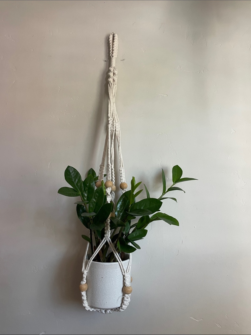 •| macrame plant holder